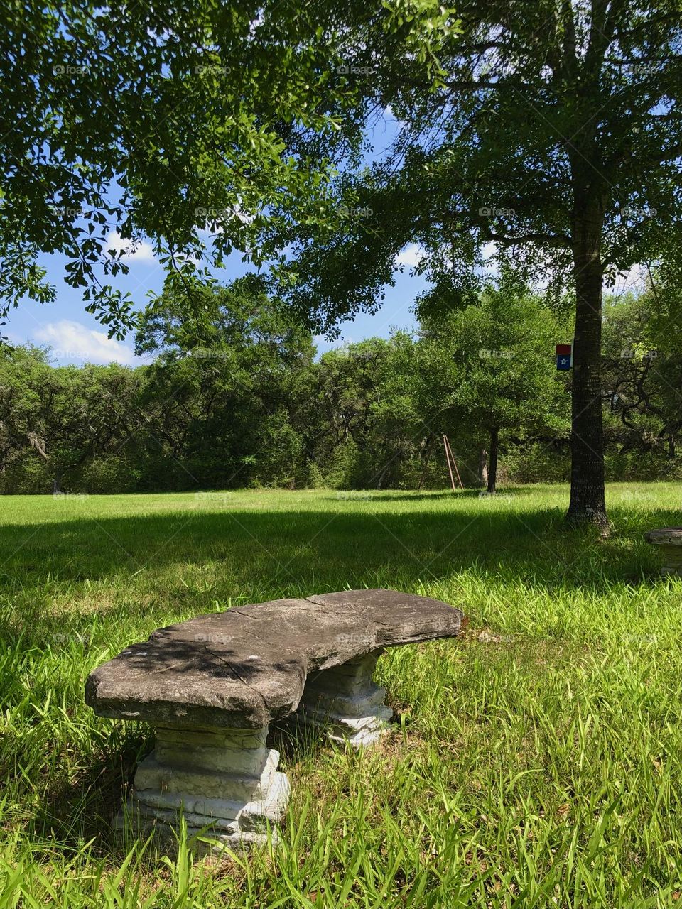 This is the stone bench at the side of my pond! Good for sitting when it’s in the shade 👍🏻