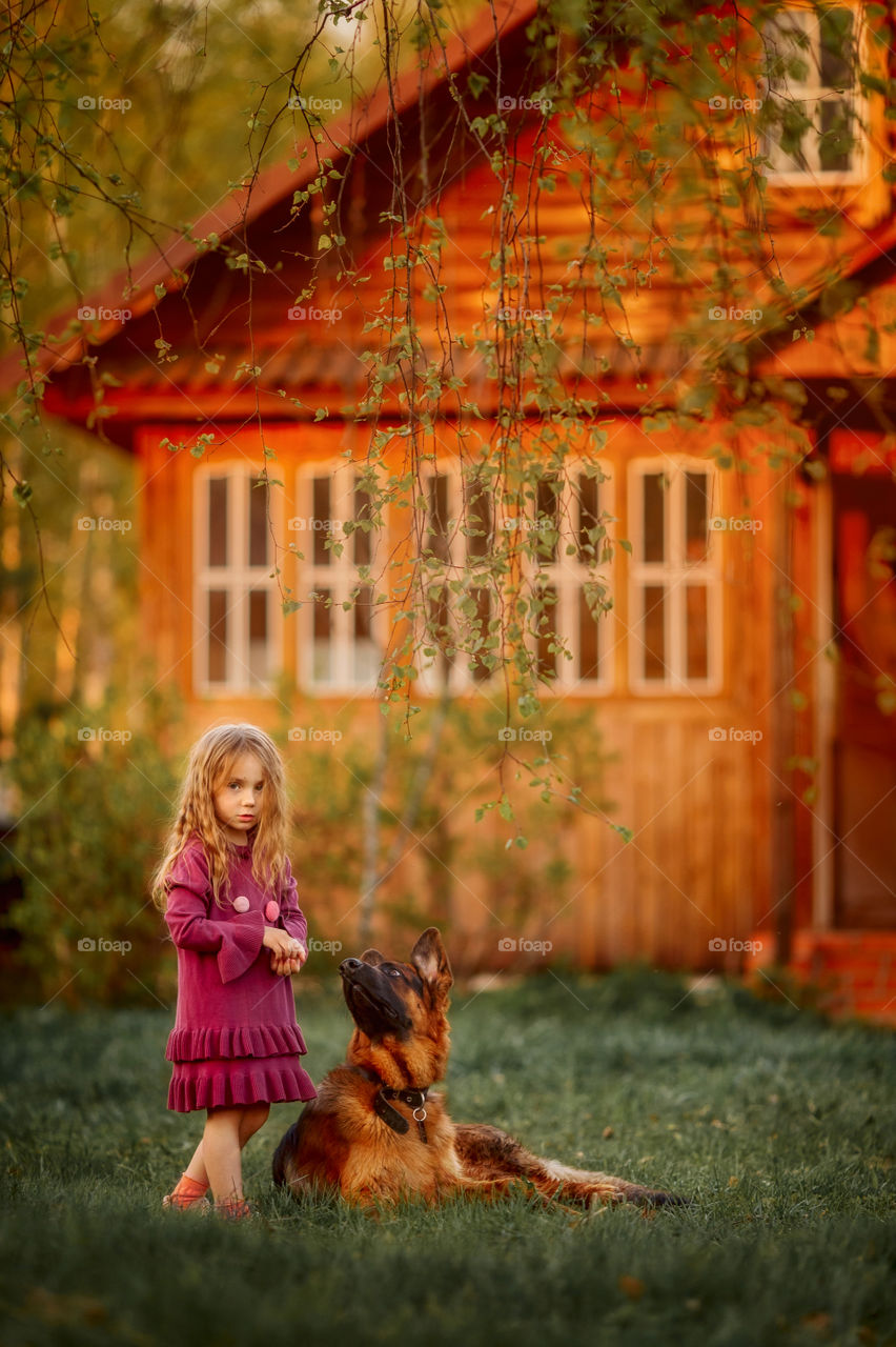 Portrait of a little girl with German shepherd dog at sunny evening 