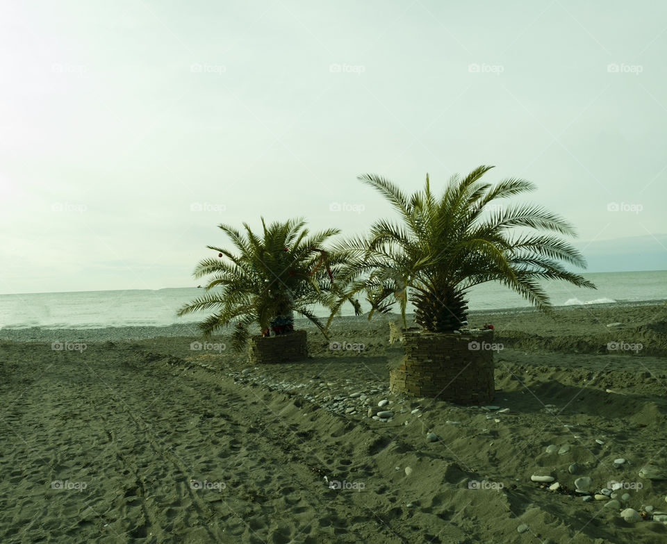 Beach riviera . Ciry Sochi