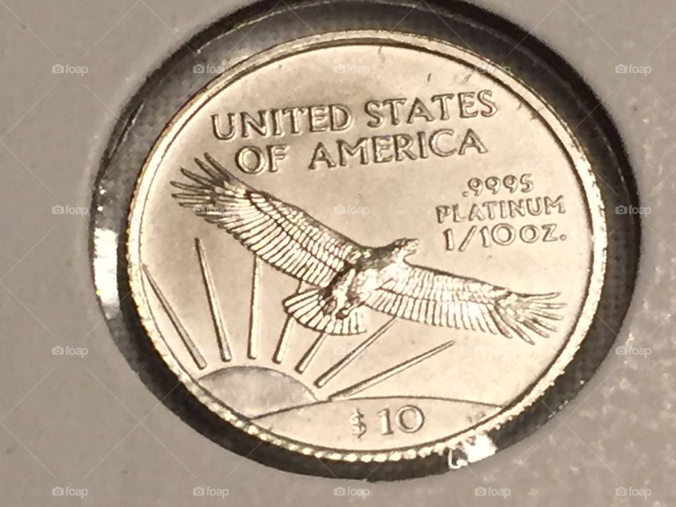 US mint platinum eagle. 