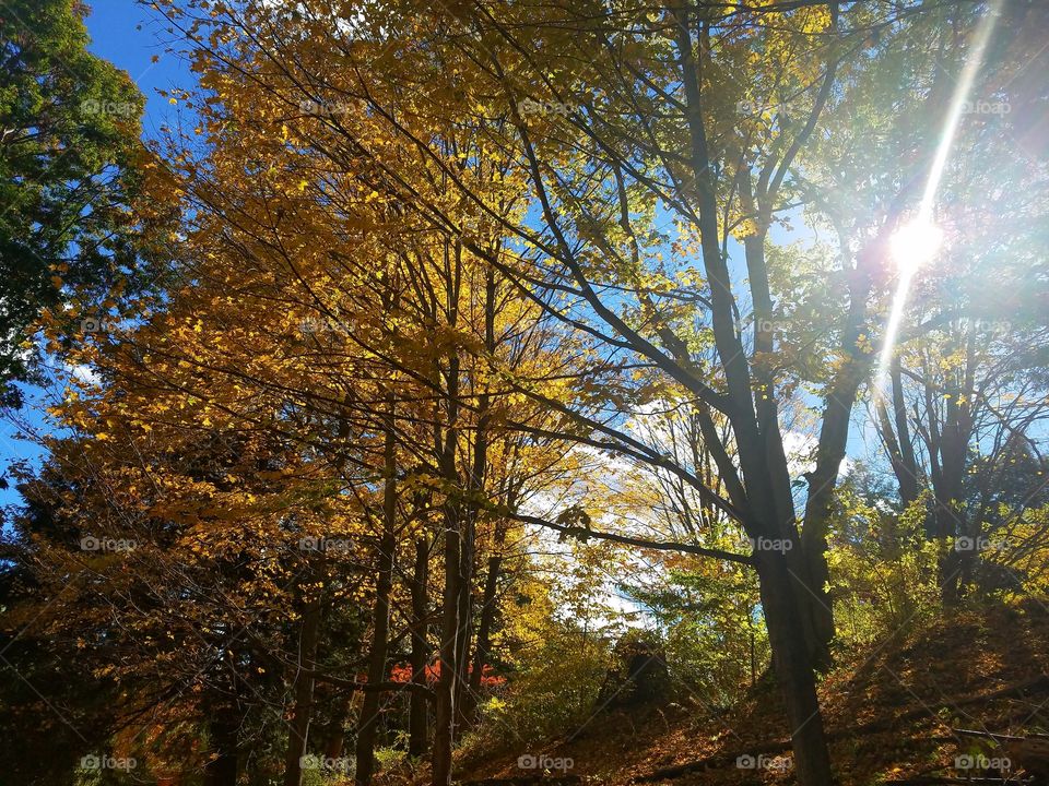 Lake Runnemede in Fall