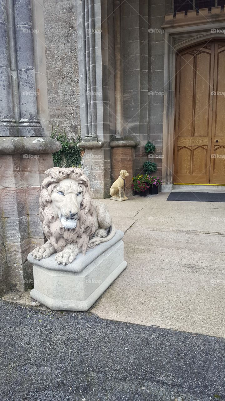 Killymoon entrance lion statue