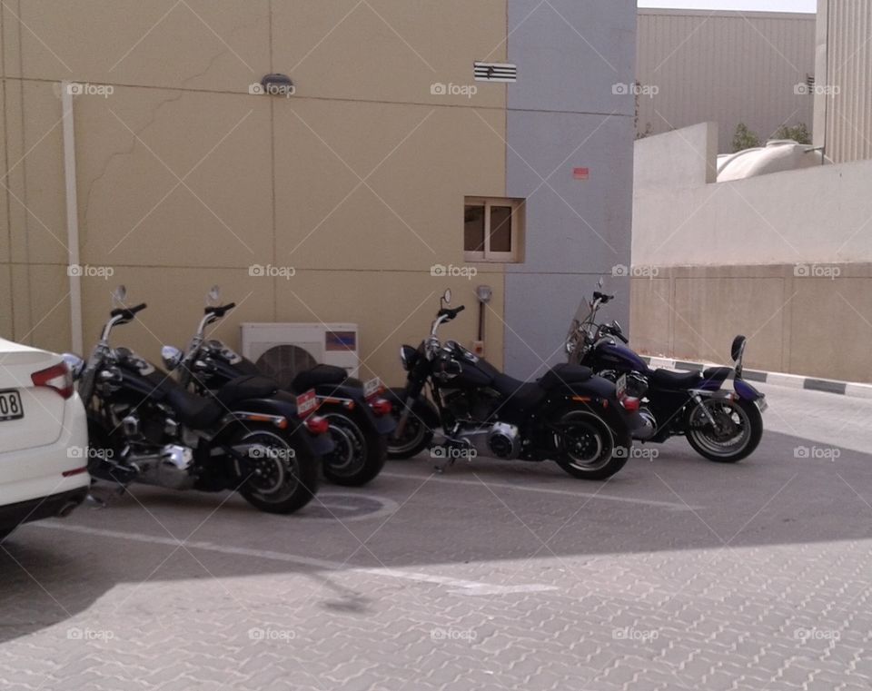 Harley davidson bike