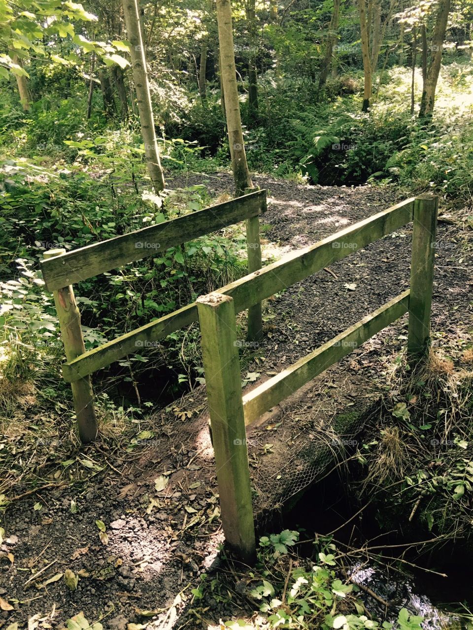 A simple bridge crossing one of the many streams in the beautiful Northumberland National Park.