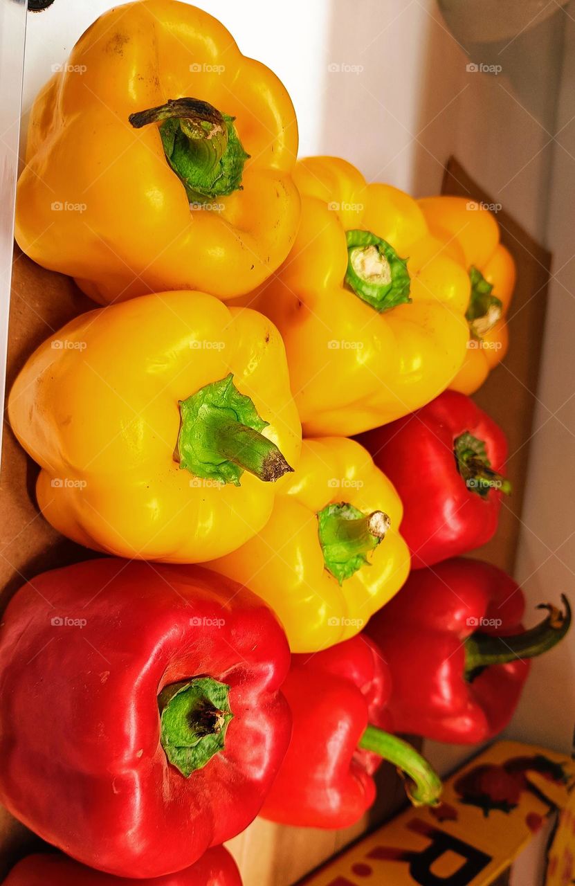 Capsicum Yellow Red