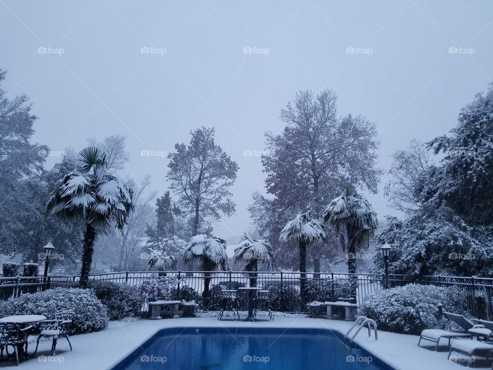 Louisiana snow day