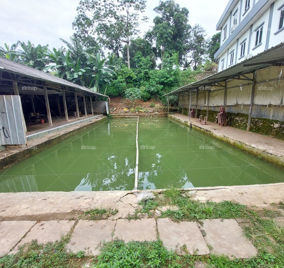 fishing pond in the village