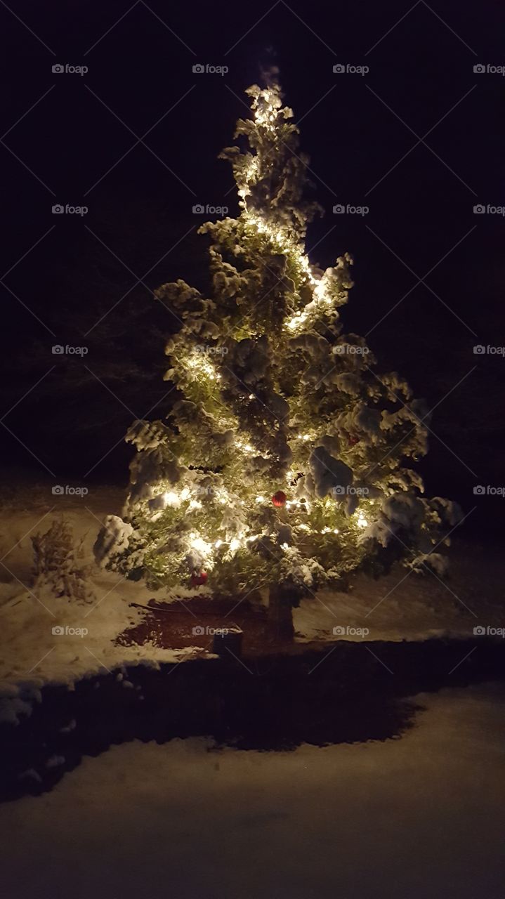 our outdoor Christmas tree covered in snow