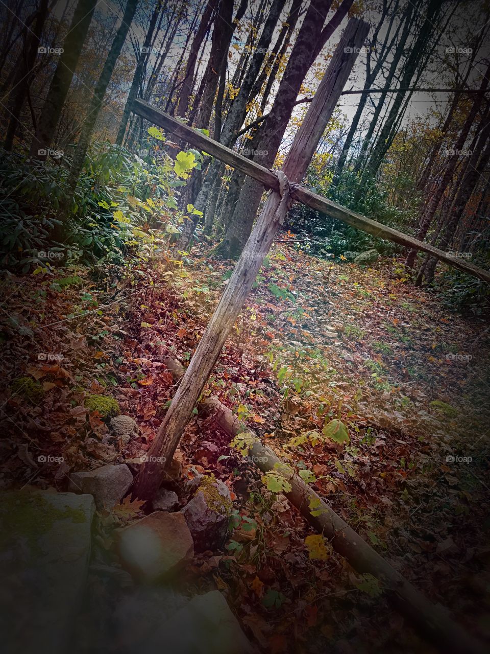 Found this in the woods, supposed to be an India burial. Very exquisite!