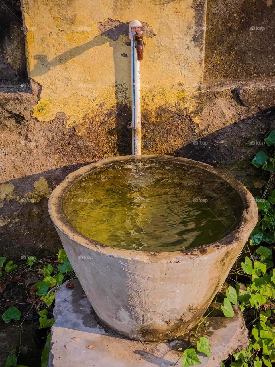 Cemented water big pot for all thirsty animals roaming on street