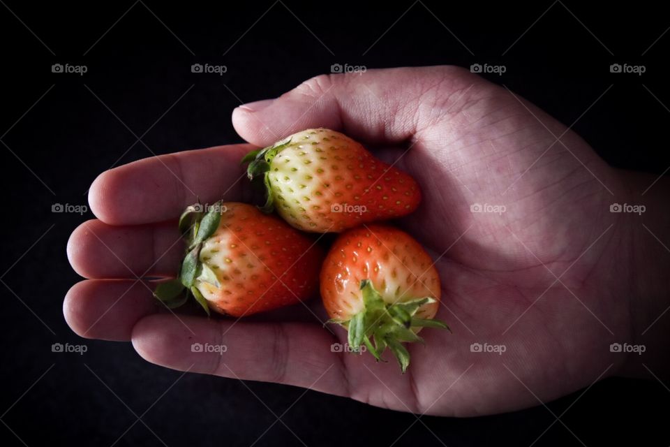 A hand full of strawberries