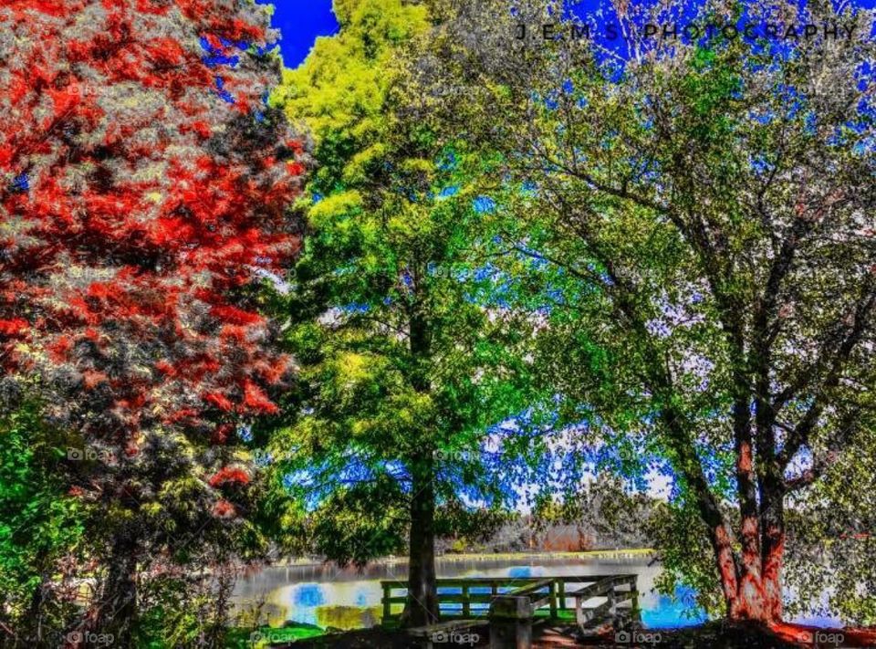 A great place to read books under the trees 
