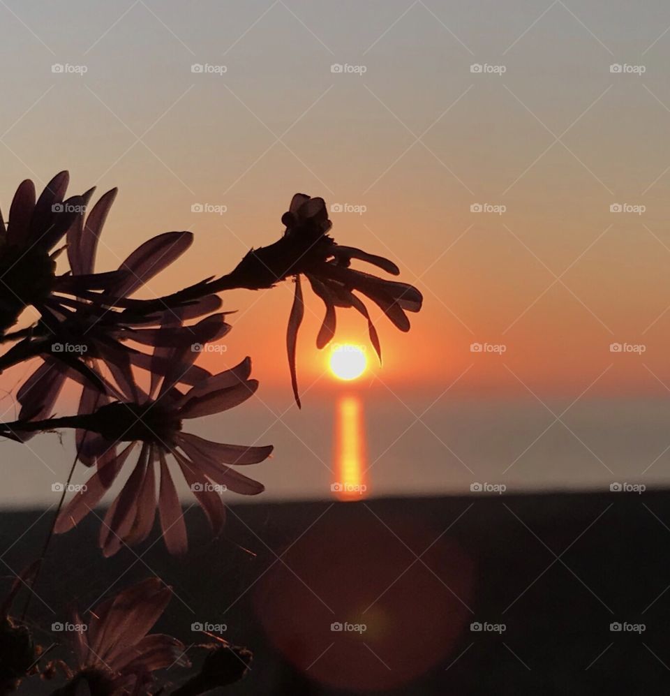 Sunrise on Lake Michigan 
