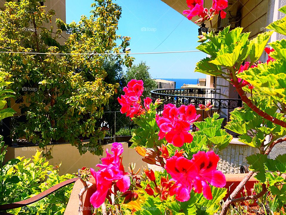 For Urban plants mission 