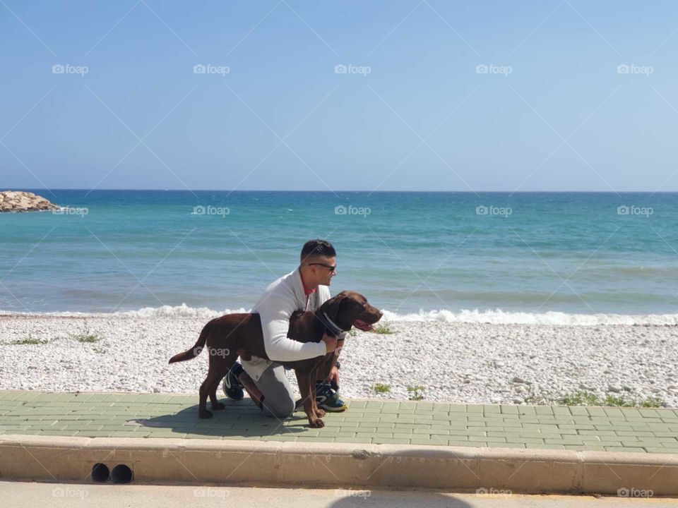Labrador#canine#dog#human#love#friend#beach#sea