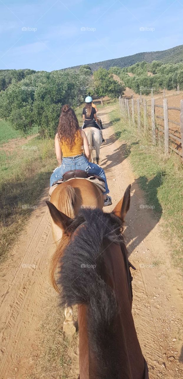 Riding horses