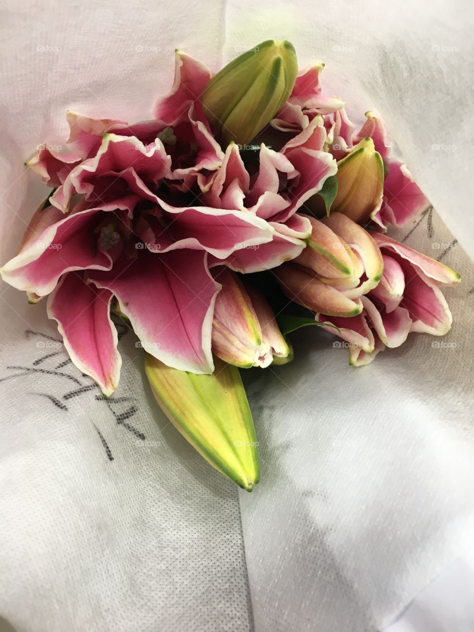 Flowers to brighten your day. Tigerlilies in pink. 