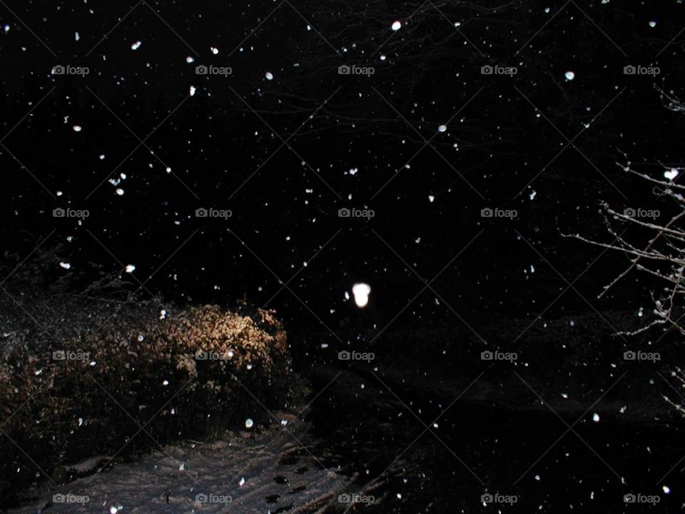 snow night