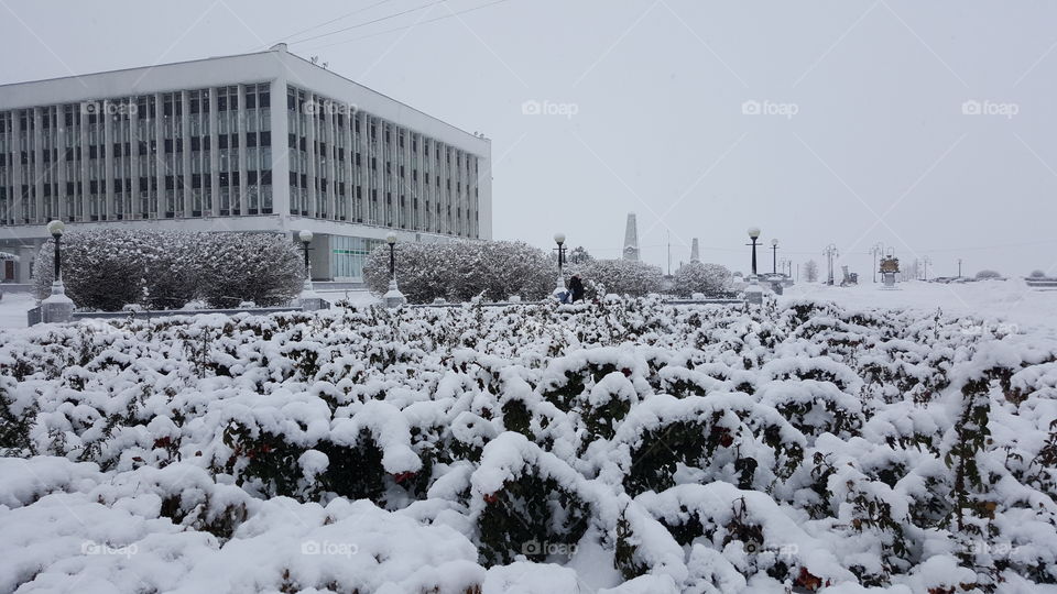 Snowy cityscape