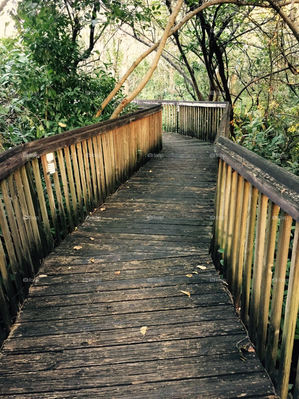 Ft Lauderdale- scenic route wood bridge
