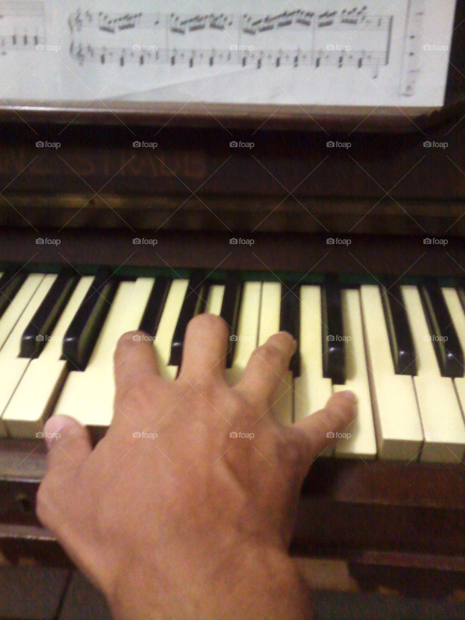 A mão do compositor