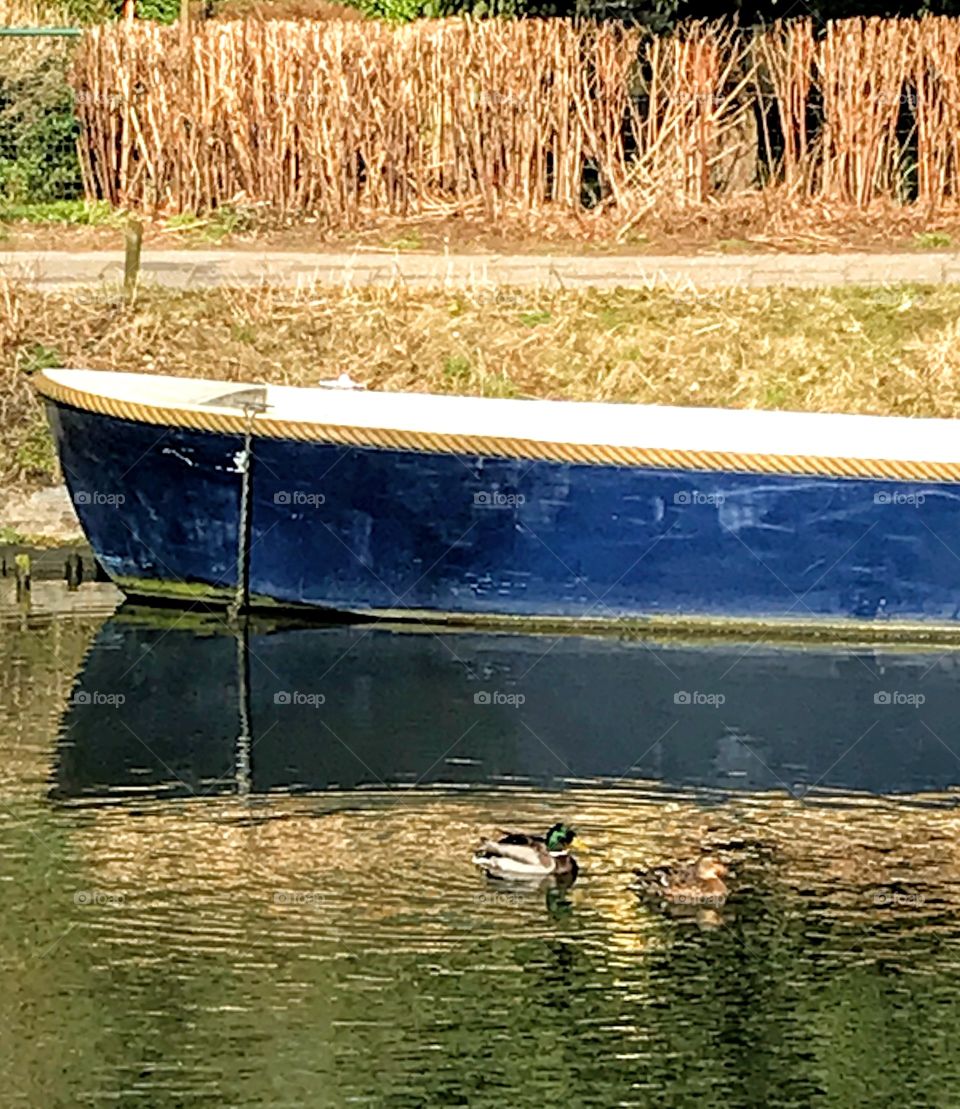 Winter color scheme with boat and ducks