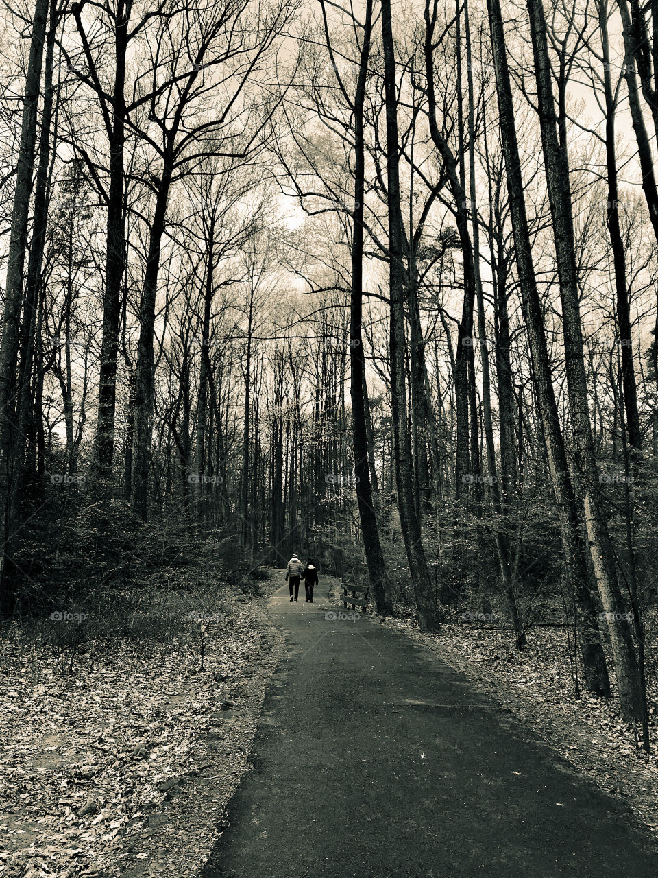 A couple whose walk together stay together 