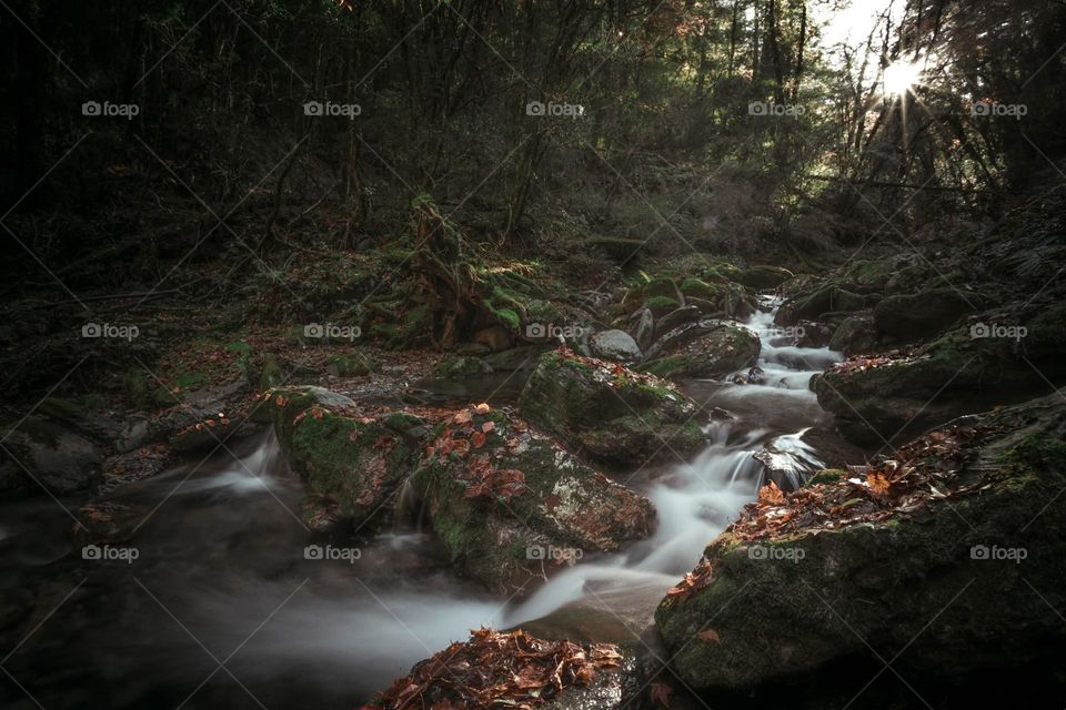 Beautiful river in the valley with maple forest