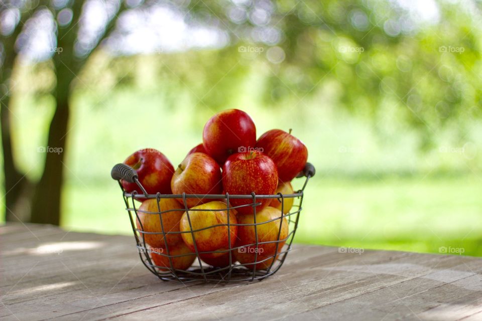 Fruits! - Apples in a wire basket on a weathered wooden surface against a background of blurred trees