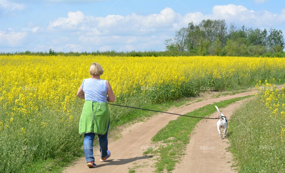 walk with dog pet spring time