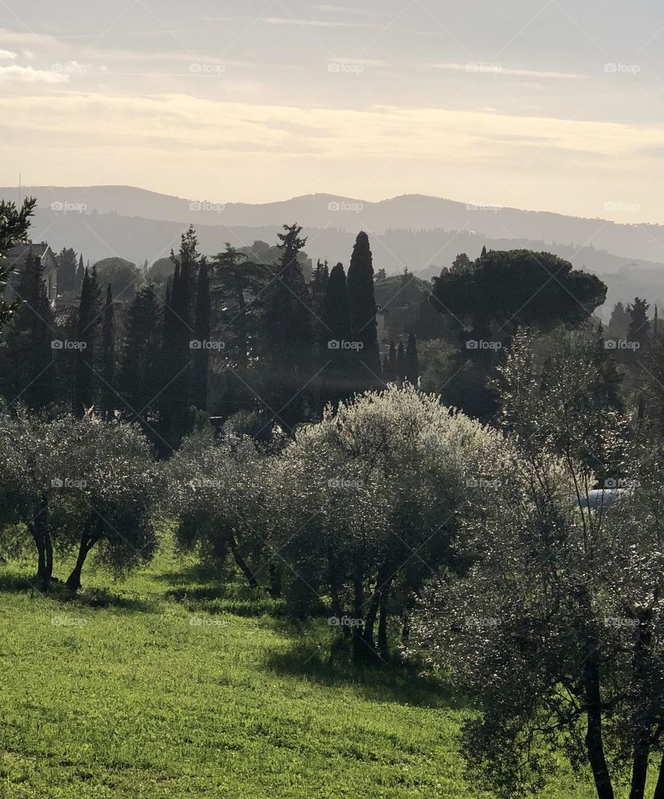 Views Across Countryside in Florence
