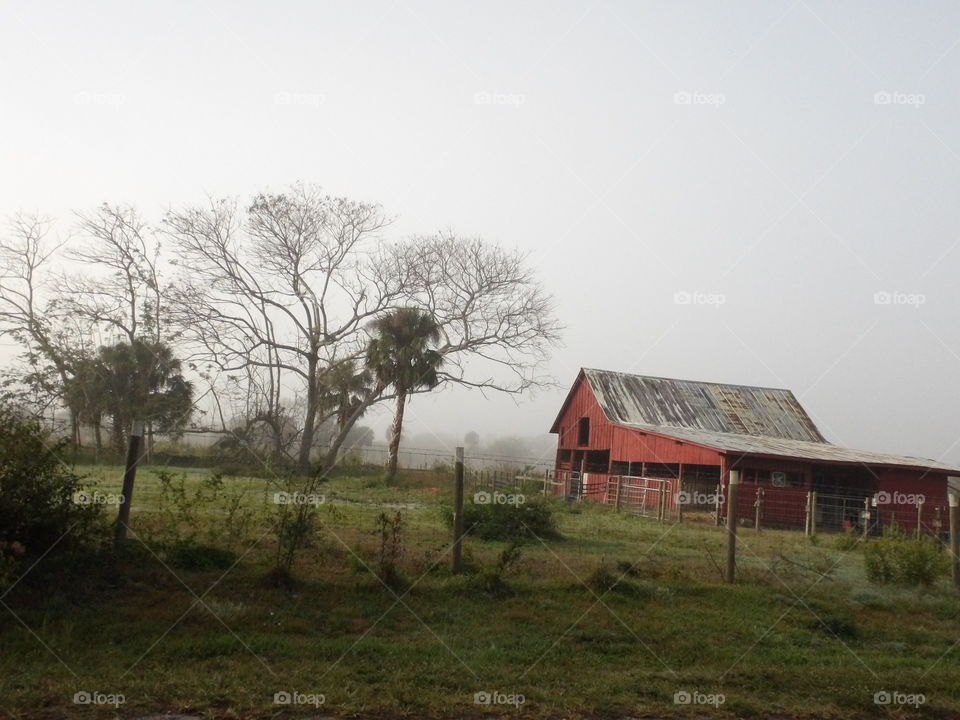 Red House