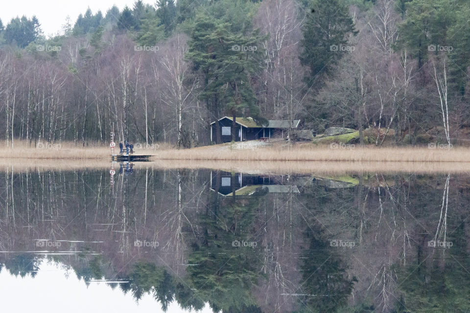 Reflections of forest and cabin in the ice on the lake 
