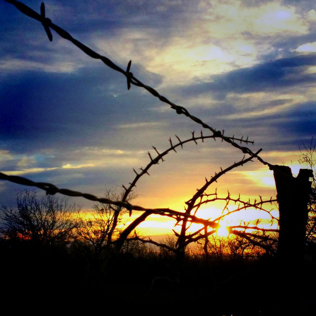 Texas sunset