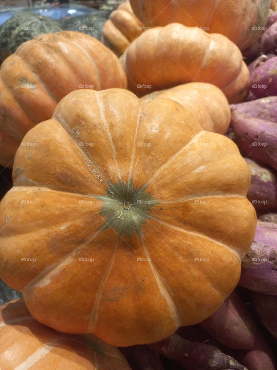 Abóbora ou jerimum  é um legume rico em carotenoides, pigmentos com propriedades fotoprotetoras, que protegem a pele contra os raios ultravioleta  do Sol, ajudando a prevenir o câncer  de pele