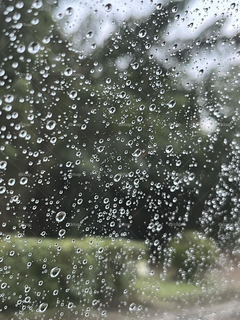 Beauty in the rain, taken from inside the car.