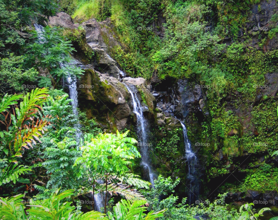 green plants trees rocks by stevehardley7