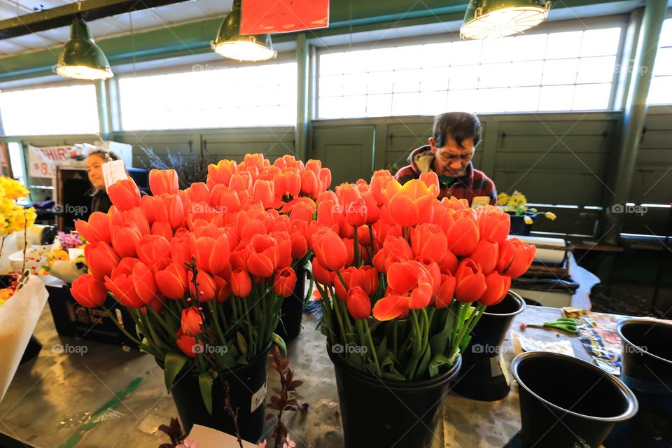 Tulip flower shop in the market 