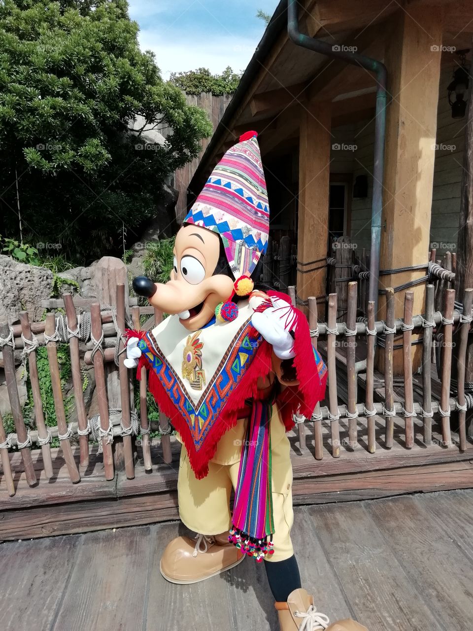 Gufi at Disney Land Japan