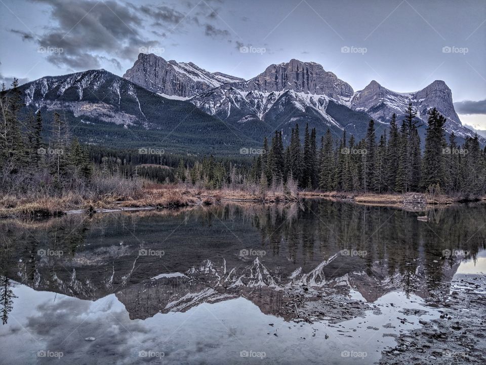 Gray sky reflections