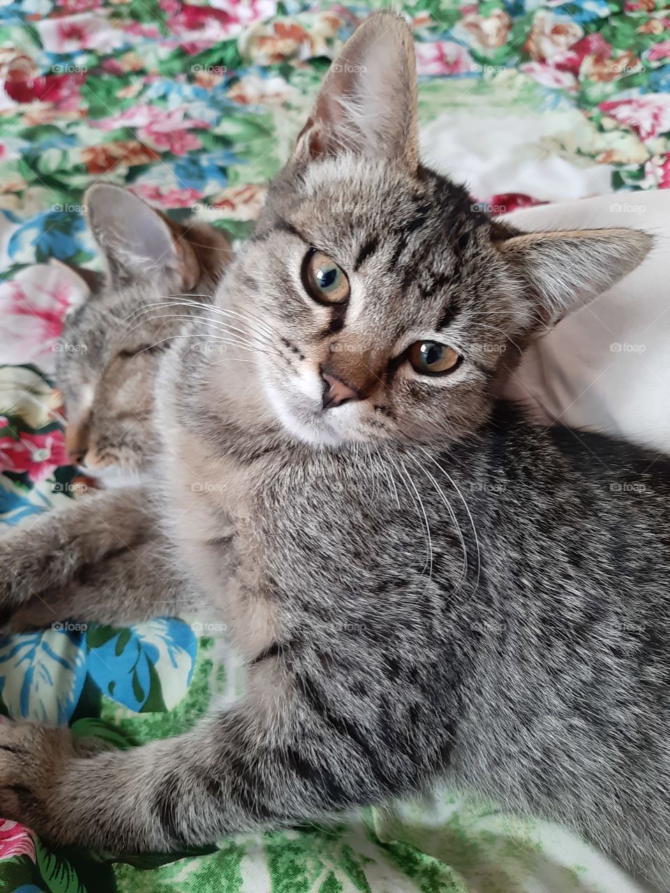 А  мне  не   спиться!