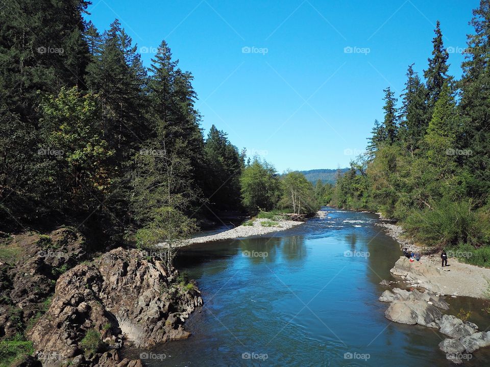The rocky and rugged shores of the Middle Fork of the Willamette River near Oakridge Oregon filled with trees transitioning to their fall colors on a beautiful sunny day.
