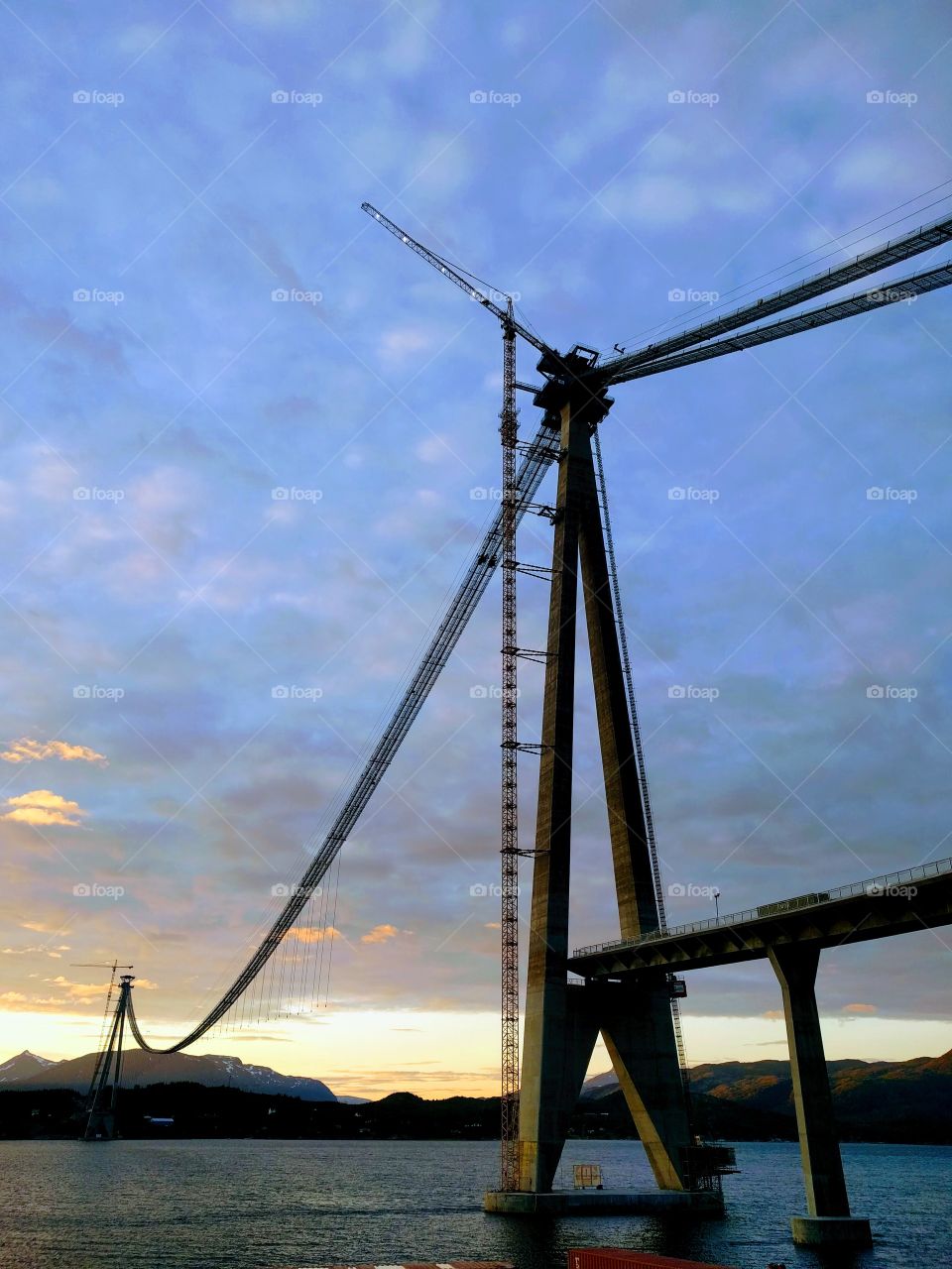the halogaland bridge under construction in 2018. the decking was not yet hinged onto the cables.