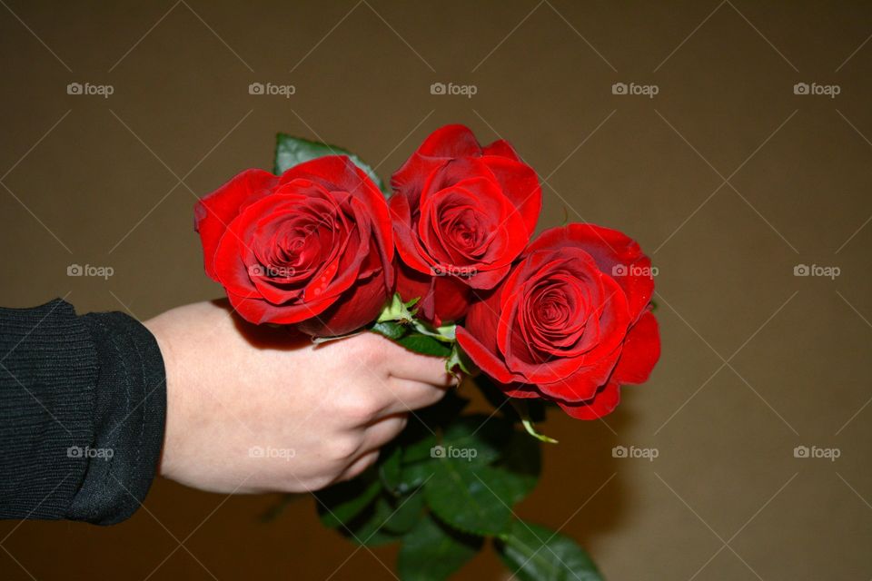 Rose, Wedding, Love, Flower, Romance