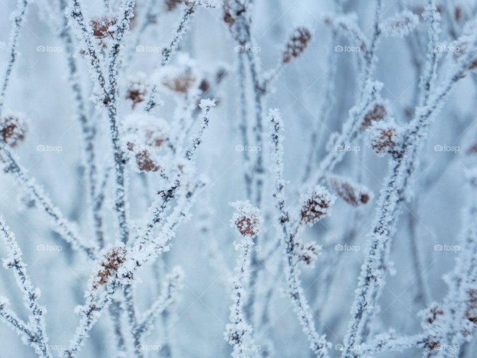 Красота сделанная природой