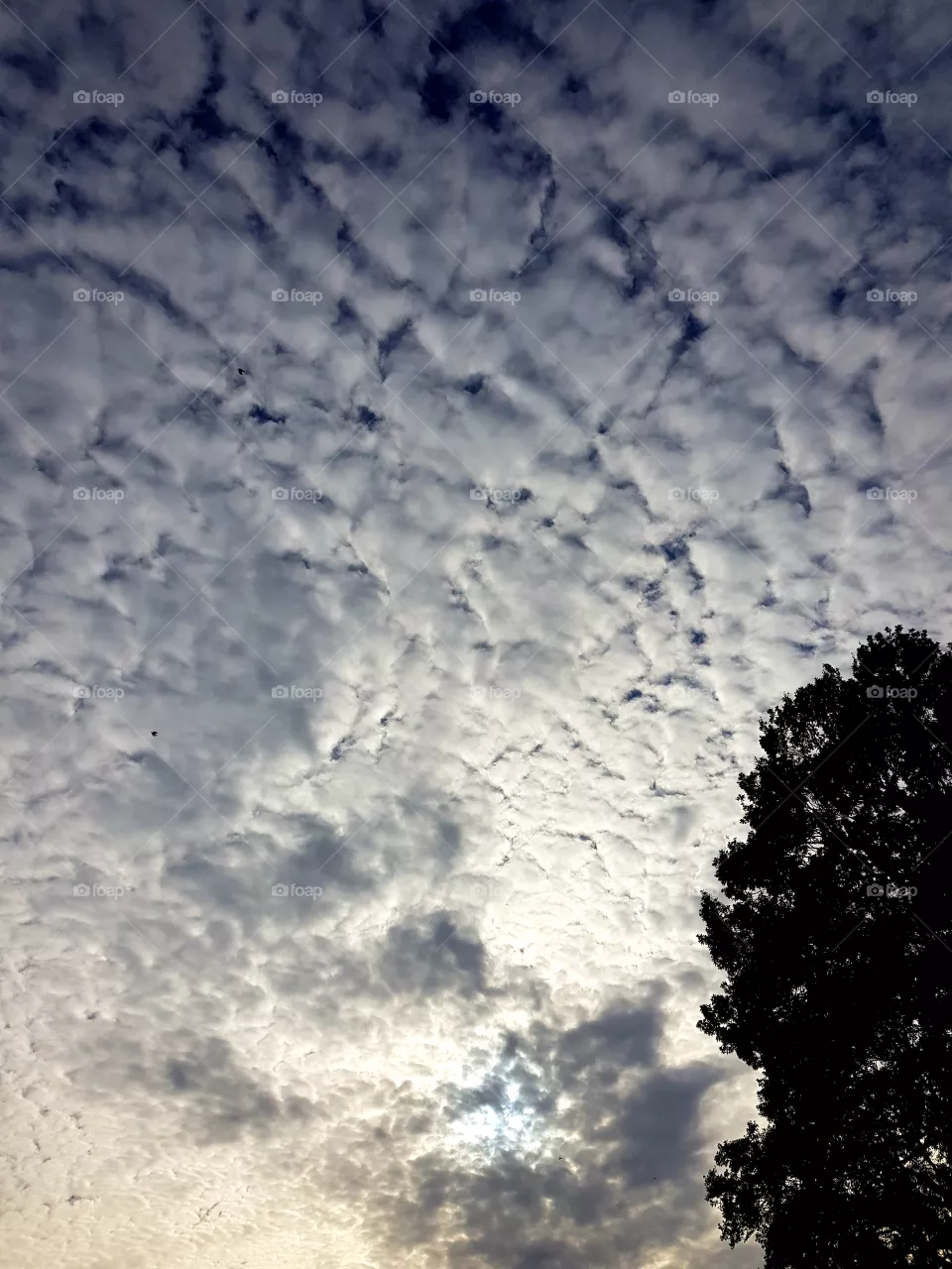 Cloudy sky