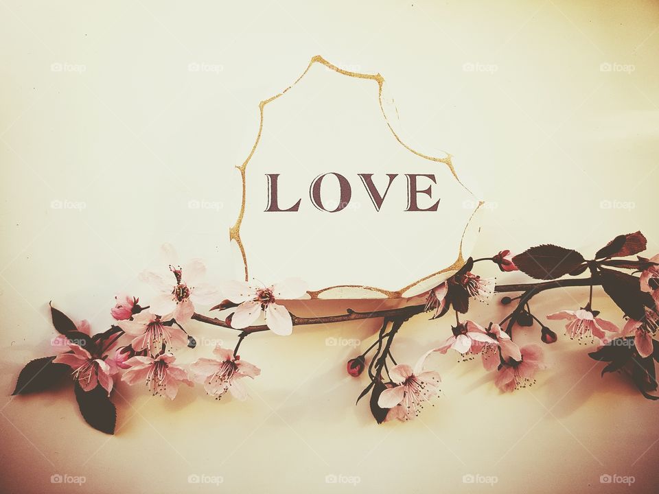 white wooden heart with the word LOVE wrote on it and a branch of pink blossom flowers on a white background.