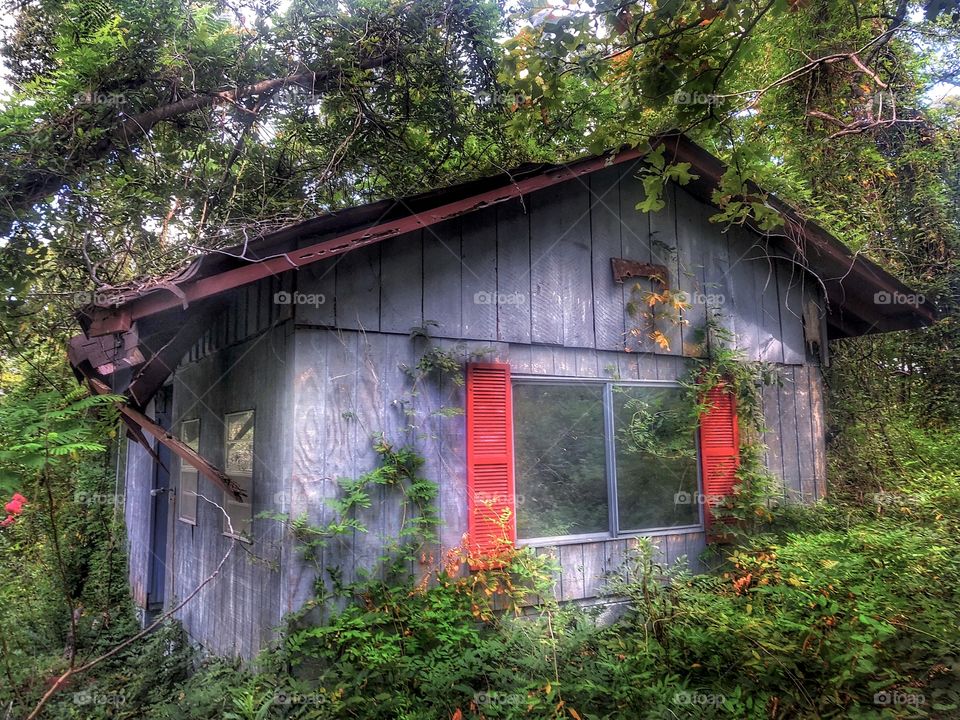 Abandoned Witch House #2