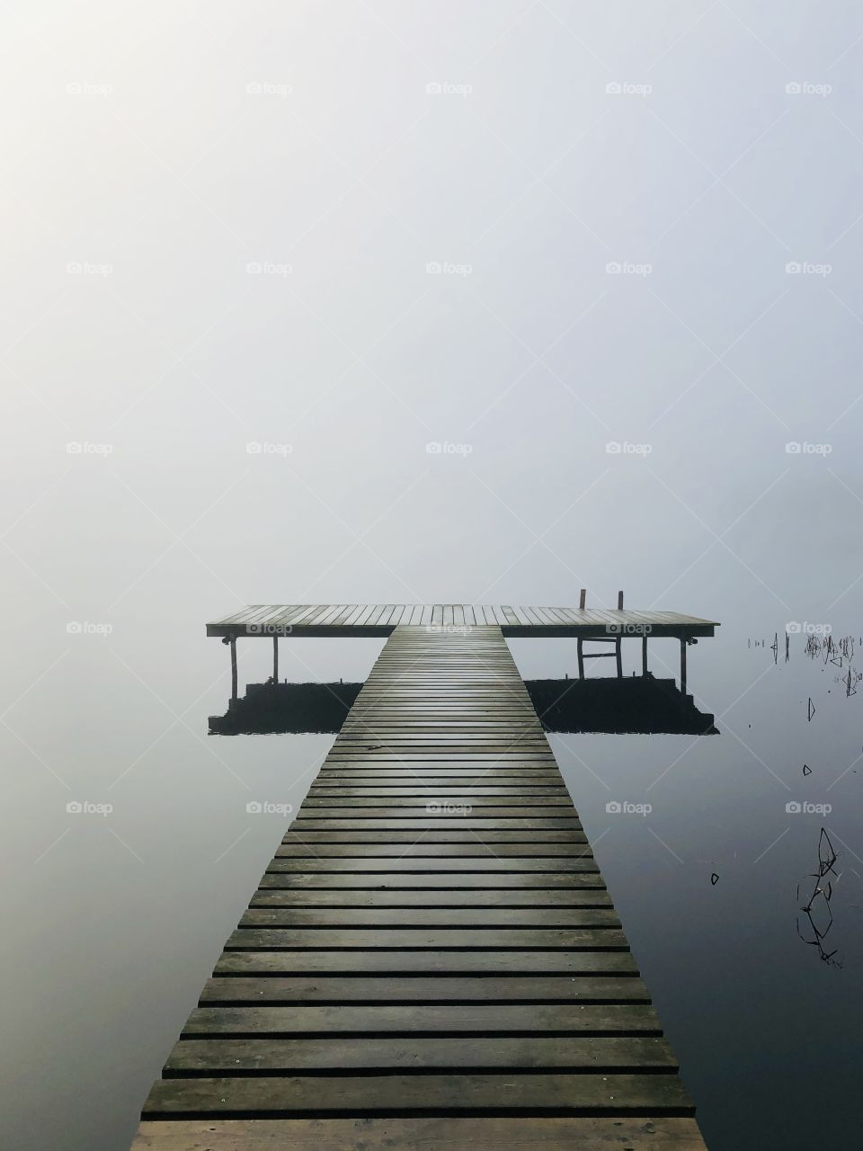 Into infinity - a foggy day in november