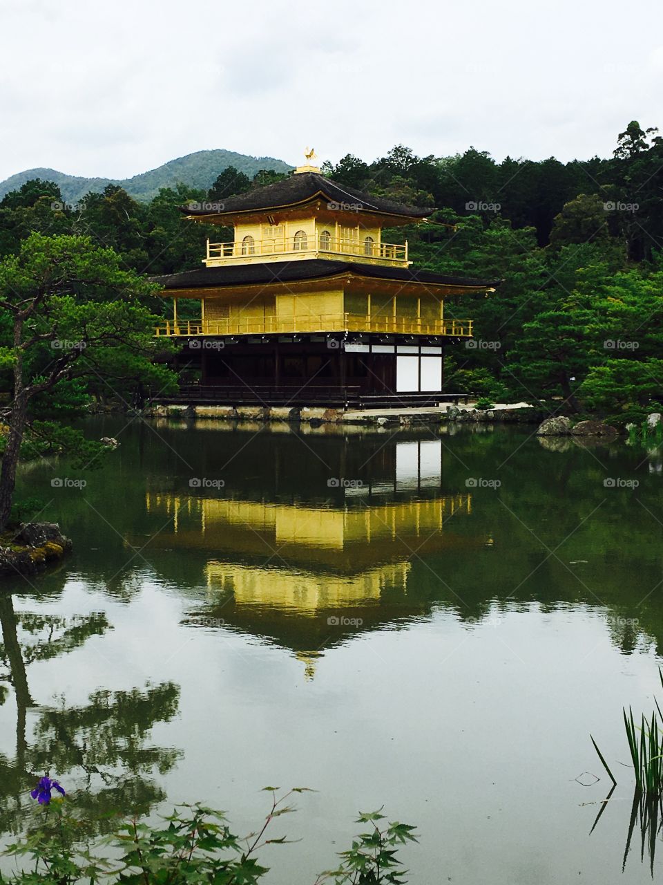The golden palace in Japan reflections over the water 